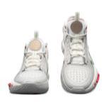 Баскетбольные кроссовки Li-Ning Way of Wade Shadow 4 | ABPS057-5