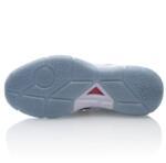 Баскетбольные кроссовки Li-Ning Wade ALL DAY | ABPS061-1
