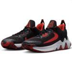 Баскетбольные кроссовки Nike Giannis Immortality 2 | DM0825-005