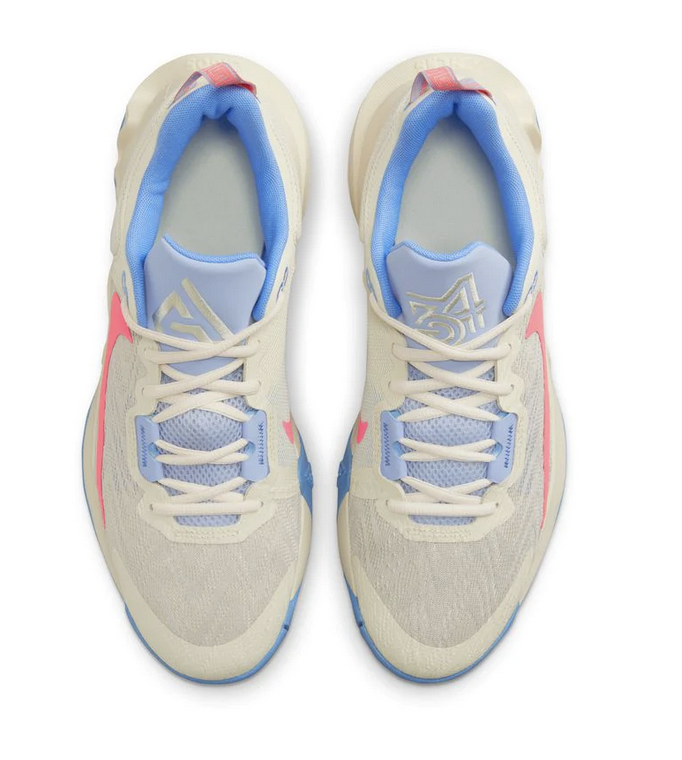 Купить Баскетбольные кроссовки Nike Giannis Immortality 2 | DM0825-103  в Москве или заказать доставку на Slamdunk.su