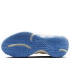 Баскетбольные кроссовки Nike Giannis Immortality 2 | DM0825-103 