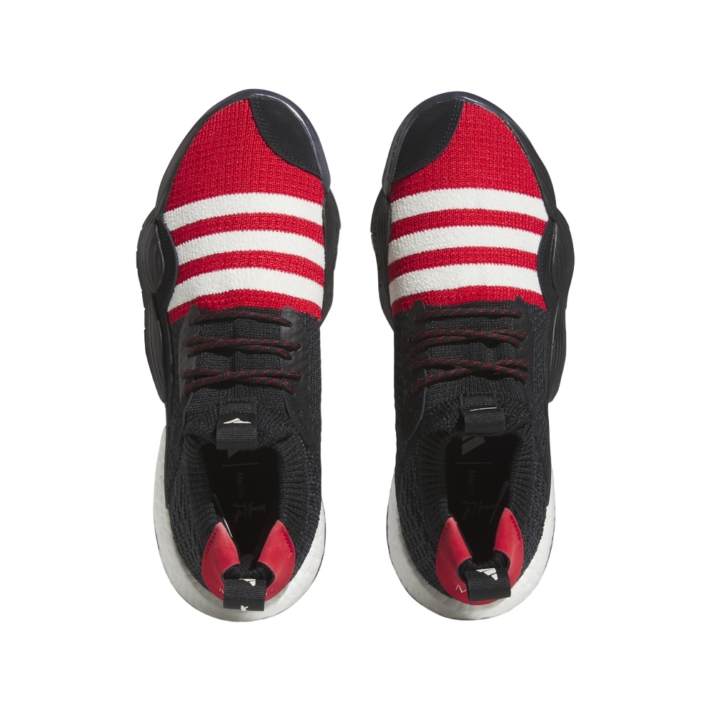Купить Баскетбольные кроссовки Adidas Trae Young 2.0 | IF2163 в Москве или заказать доставку на Slamdunk.su