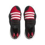 Баскетбольные кроссовки Adidas Trae Young 2.0 - картинка