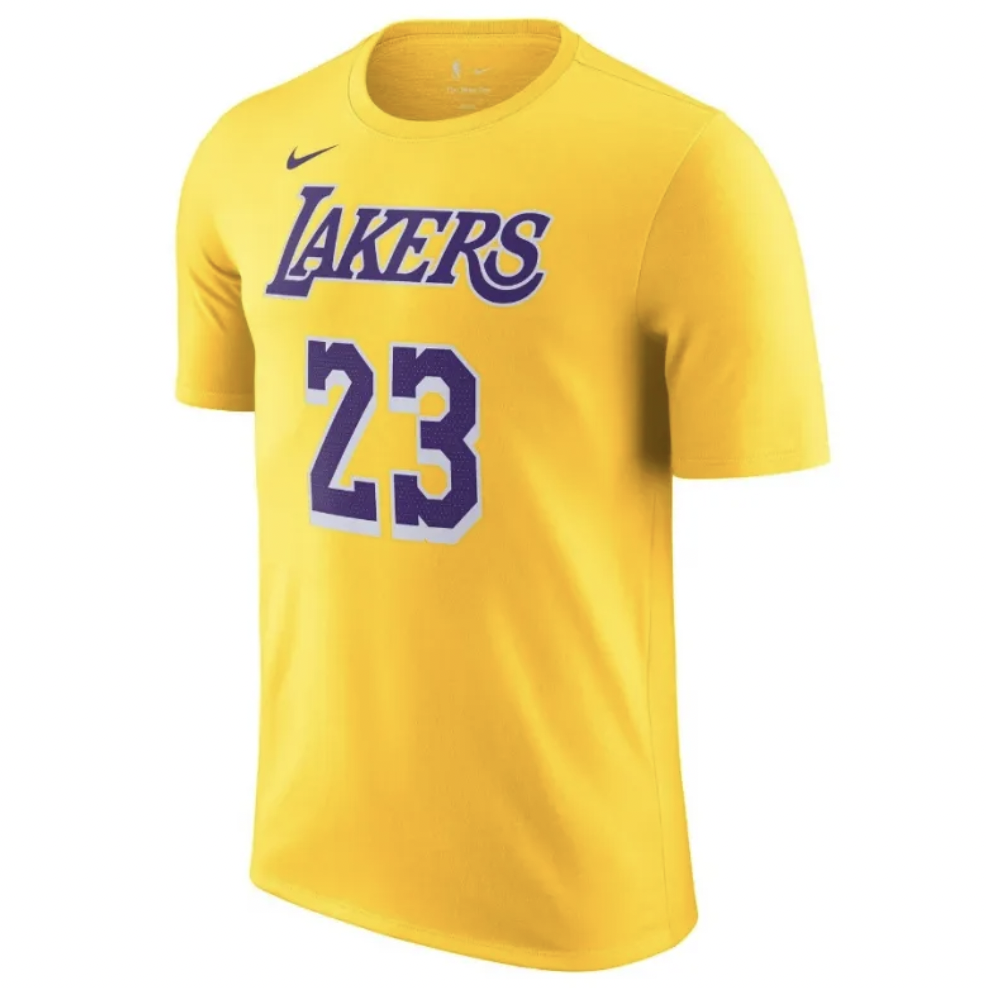 Nike LeBron James Los Angeles Lakers DR6380 734