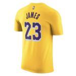 Футболка Nike LeBron James Los Angeles Lakers  | DR6380-734