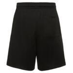 Шорты Jordan FLIGHT MVP MESH | DV7602-010