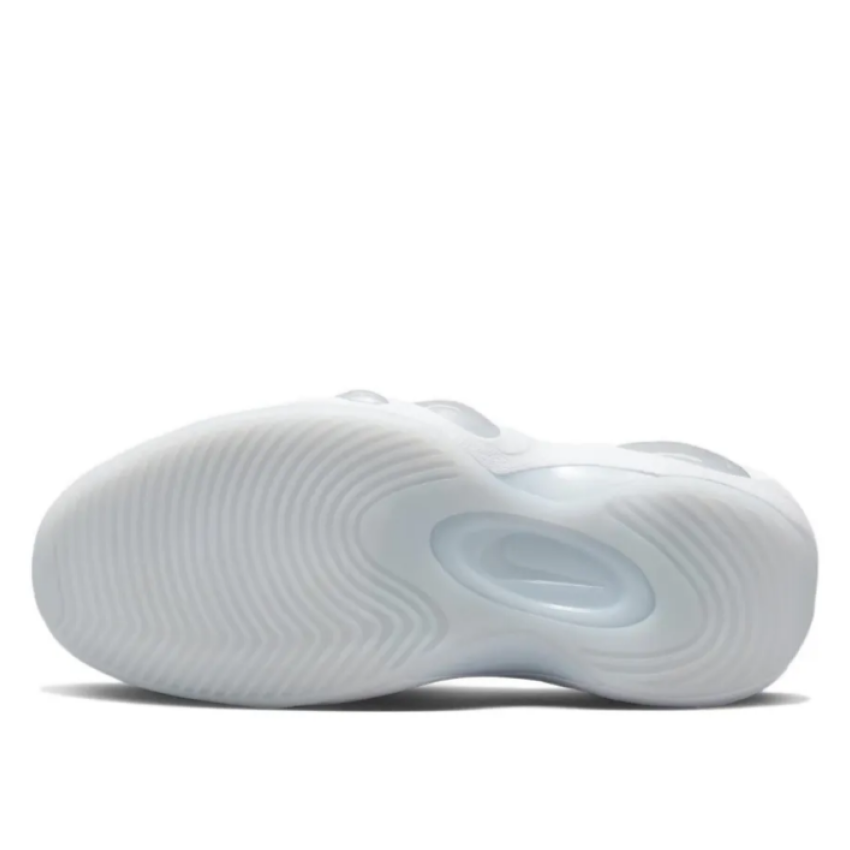 Nike hot sale flight zoom