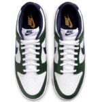 Кроссовки Nike Dunk Low  | FV6911-300