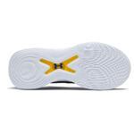 Баскетбольные кроссовки Under Armour Curry 10 Flow  | 3026949-400