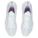 Баскетбольные кроссовки Li-Ning Sonics X V2 | ABAS057-1