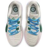 Баскетбольные кроссовки Nike Zoom Freak 5 | DX4985-100