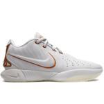 Баскетбольные кроссовки Nike Lebron 21 EP 'Akoya' | FV2346-001