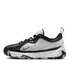 Баскетбольные кроссовки Nike Zoom Freak 5 GS - картинка