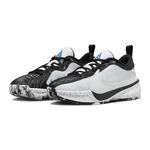 Баскетбольные кроссовки Nike Zoom Freak 5 GS | DZ4486-100
