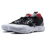 Баскетбольные кроссовки Li-Ning Wade All City 12 | ABAU015-4