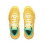Баскетбольные кроссовки Li-Ning Power X | ABAU017-4