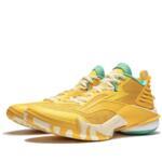 Баскетбольные кроссовки Li-Ning Power X | ABAU017-4