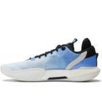 Баскетбольные кроссовки Li-Ning Wade All City 12 | ABAU023-4