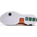 Баскетбольные кроссовки Li-Ning Badfive Furious 2 | ABFU011-5