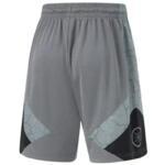 Баскетбольные шорты Li-Ning Wade | AAPU063-1