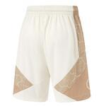 Баскетбольные шорты Li-Ning Wade | AAPU063-3