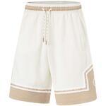 Баскетбольные шорты Li-Ning Wade | AAPU061-3