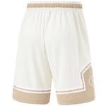 Баскетбольные шорты Li-Ning Wade | AAPU061-3