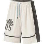 Баскетбольные шорты Li-Ning Badfive | AAPU103-4