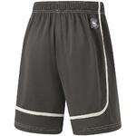 Баскетбольные шорты Li-Ning Badfive | AAPU103-4