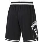 Баскетбольные шорты Li-Ning Badfive | AAPU111-1