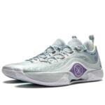 Баскетбольные кроссовки Li-Ning Wade Shadow 5 V2 | ABPU009-3