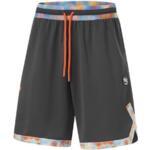 Баскетбольные шорты Li-Ning Badfive