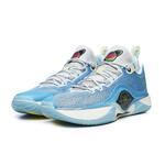 Баскетбольные кроссовки Li-Ning Wade Shadow 5 V2 | ABPU009-8
