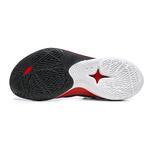 Баскетбольные кроссовки Li-Ning Sonic 12 | ABAU019-8