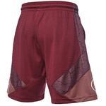 Баскетбольные шорты Li-Ning Wade | AAPU063-4