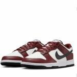 Кроссовки Nike Dunk Low  | FZ4616-600