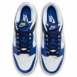 Кроссовки Nike Dunk Low  | FQ8826-100