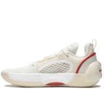 Баскетбольные кроссовки Li-Ning Wade All City 12 Encore | ABAU029-1