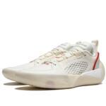 Баскетбольные кроссовки Li-Ning Wade All City 12 Encore | ABAU029-1