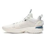 Баскетбольные кроссовки Li-Ning BadFive Storm | ABFU017-3