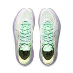 Баскетбольные кроссовки Li-Ning Sonic 12 V2  | ABAU027-5
