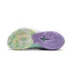 Баскетбольные кроссовки Li-Ning Sonic 12 V2  | ABAU027-5