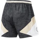 Баскетбольные шорты Li-Ning Wade | AAPU017-4
