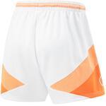 Баскетбольные шорты Li-Ning Wade | AAPU017-2