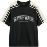 Футболка Li-Ning Wade | AHSU475-1
