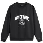 Толстовка Li-Ning Wade | AWDU277-1