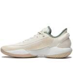 Баскетбольные кроссовки Li-Ning Yushuai 18 V2 | ABAU025-4