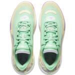 Баскетбольные кроссовки Li-Ning Yushuai 18 V2 | ABAU025-3