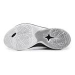 Баскетбольные кроссовки Li-Ning Sonic 12 V2  | ABAU027-4