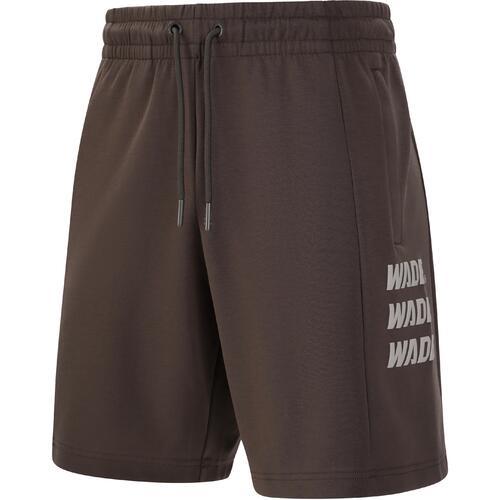 Шорты Li-Ning Wade